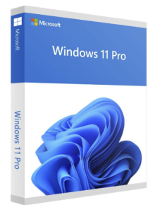Microsoft Windows 11 Pro / Professional Klucz ESD